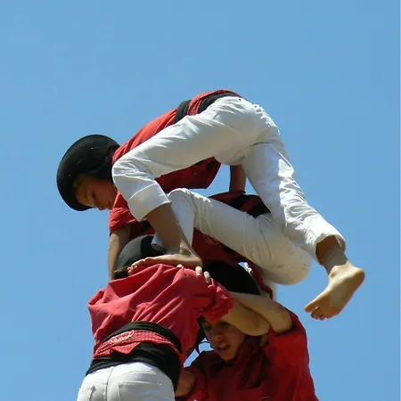 Arola 1 *